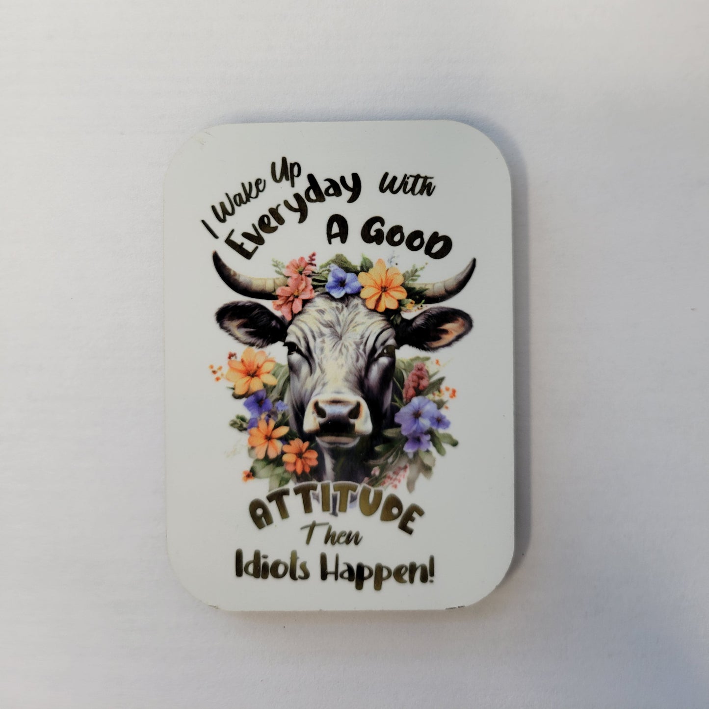 Snarky refrigerator magnets