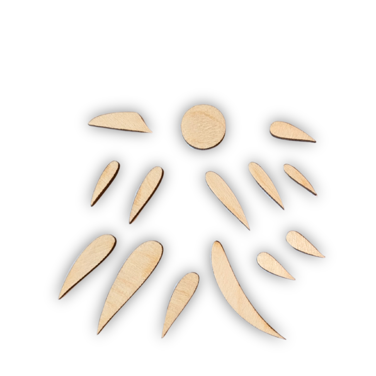 Robin 2D Wooden Craft